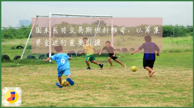 国米或将交易斯坦科维奇，以筹集资金进行重要引援
